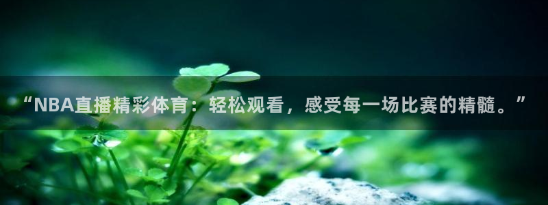球神直播体育免费直播：“NBA直播精彩体育：轻松观看，感受每一场比赛的精髓。”