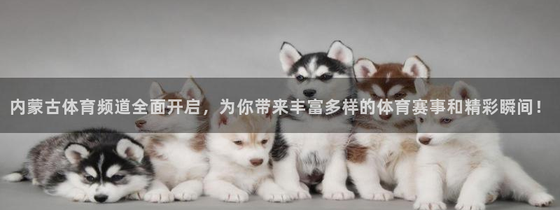 nba直播球神：内蒙古体育频道全面开启，为你带来丰富多样的体育赛事和精彩瞬间！