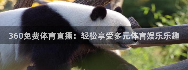 nba直播球神直播：360免费体育直播：轻松享受多元体育娱乐乐趣