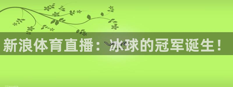 球神直播nba：新浪体育直播：冰球的冠军诞生！