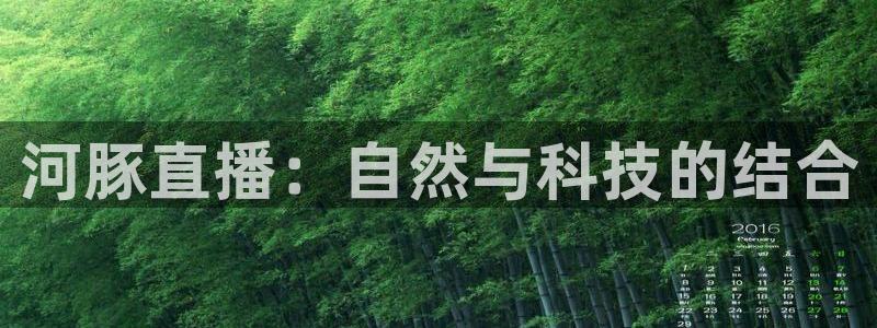 黑白直播免费高清看球神器：河豚直播：自然与科技的结合