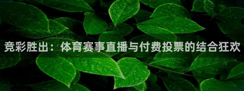 cba直播球神直播：竞彩胜出：体育赛事直播与付费投票的结合狂欢