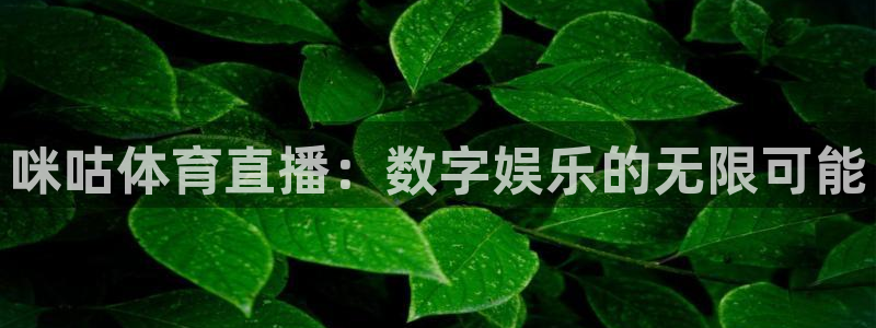 球神足球直播在线观看：咪咕体育直播：数字娱乐的无限可能
