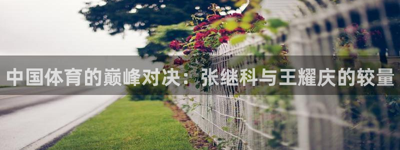 nba直播球神直播：中国体育的巅峰对决：张继科与王耀庆的较量