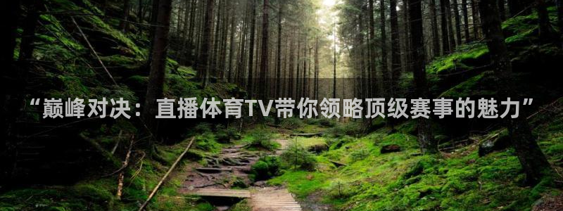 球神直播体育在线观看网址：“巅峰对决：直播体育TV带你领略顶级赛事的魅力”