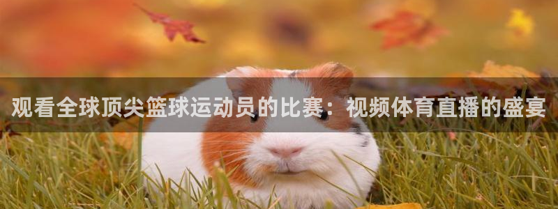 球神直播首页：观看全球顶尖篮球运动员的比赛：视频体育直播的盛宴