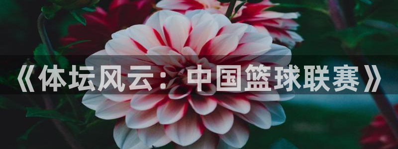 球神直播间：《体坛风云：中国篮球联赛》