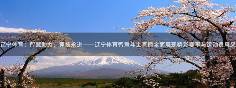 足球直播球神：辽宁体育：智慧助力，竞技永进——辽宁体育智慧斗士直播全面展现精彩赛事与运动员风采