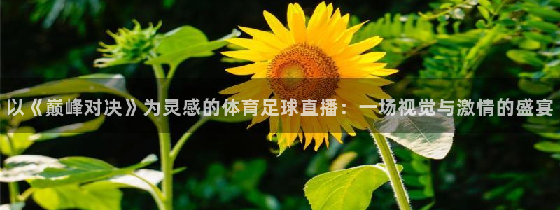 足球直播球神：以《巅峰对决》为灵感的体育足球直播：一场视觉与激情的盛宴