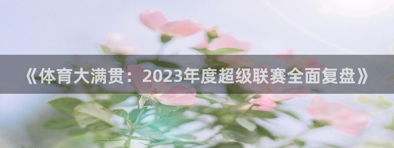 球神足球直播在线观看：《体育大满贯：2023年度超级联赛全面复盘》
